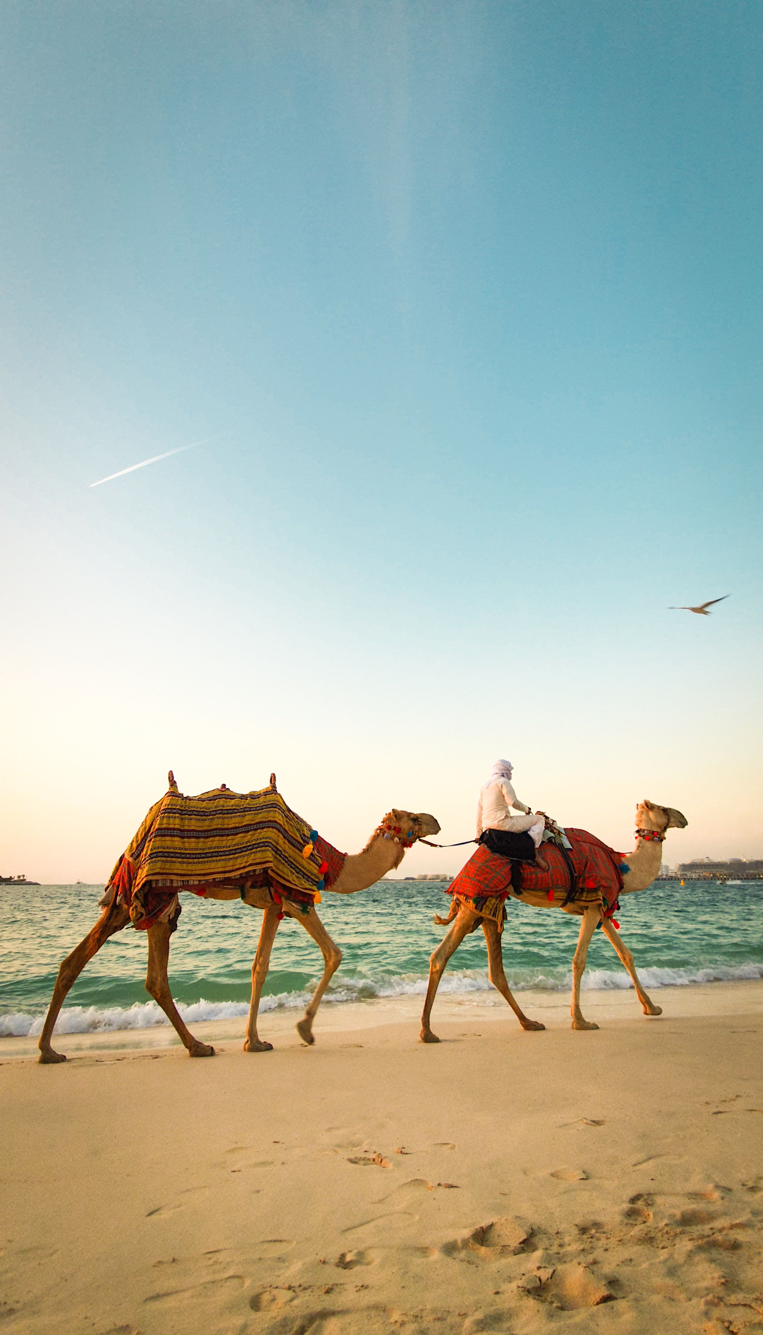 TRAVEL
